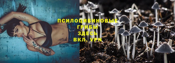 синтетический гашиш Нефтекумск
