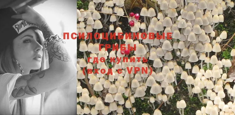 Псилоцибиновые грибы Psilocybine cubensis  ОМГ ОМГ ТОР  Белая Калитва  как найти наркотики 